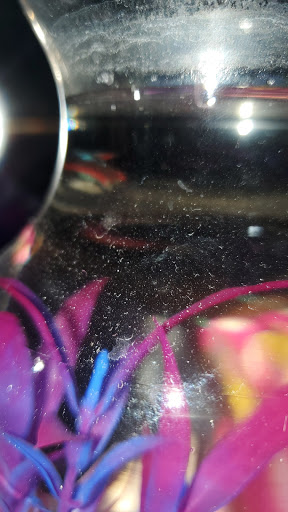 Pet Supply Store «Petco Animal Supplies», reviews and photos, 891 NE D St, Grants Pass, OR 97526, USA