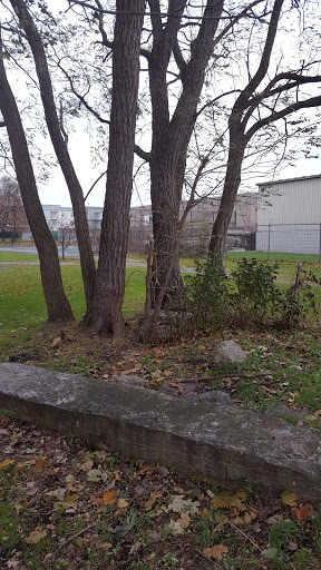 Nature Preserve «Troup Street Park», reviews and photos, 210-266 Troup St, Rochester, NY 14608, USA