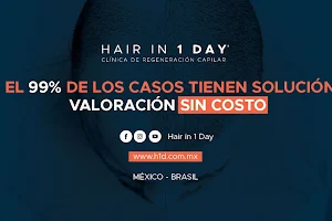 Hair In 1 Day image