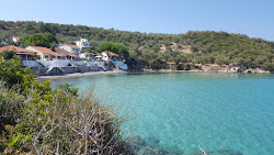 Little Zindancık'in fotoğrafı küçük koy ile birlikte