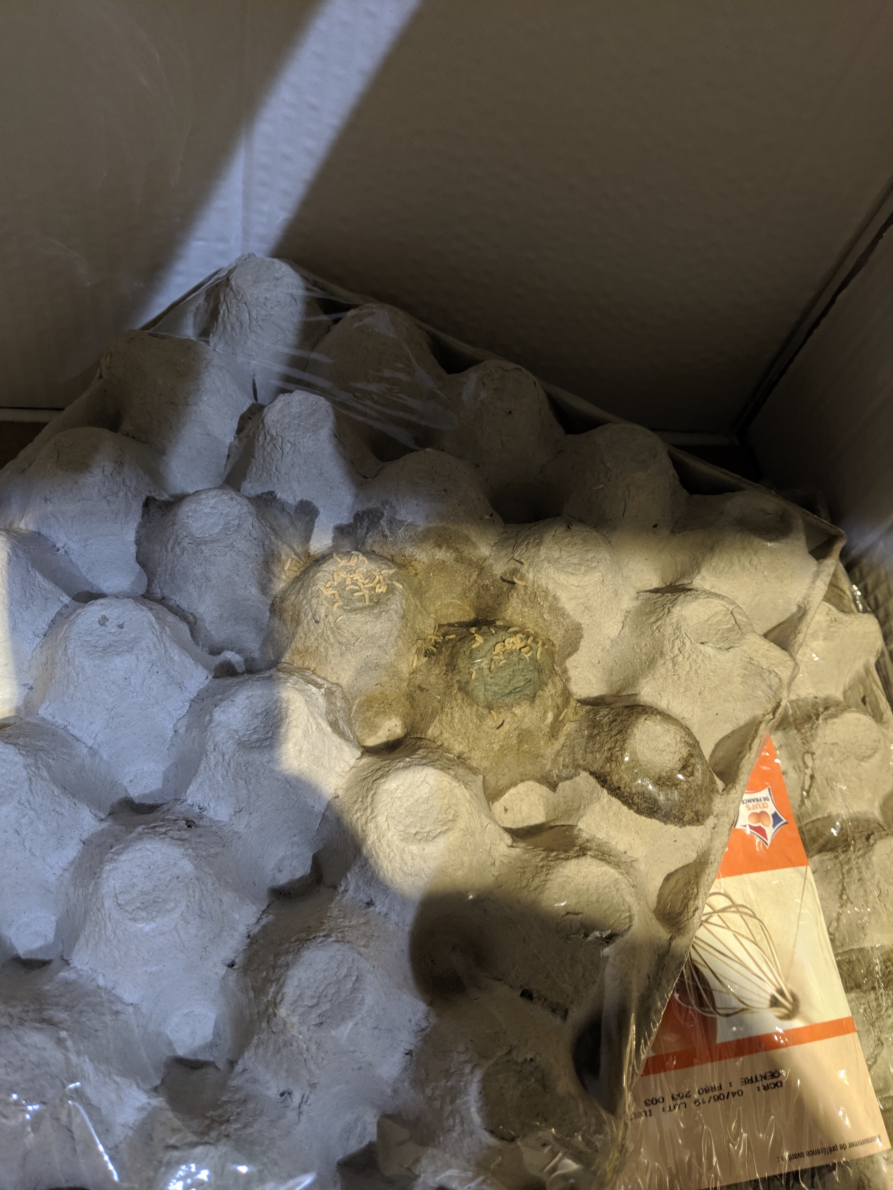 Photo n° 1 de l'avis de Stacy.a fait le 28/05/2019 à 17:40