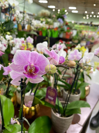 Grocery Store «Kroger», reviews and photos, 845 Nashville Pike, Gallatin, TN 37066, USA