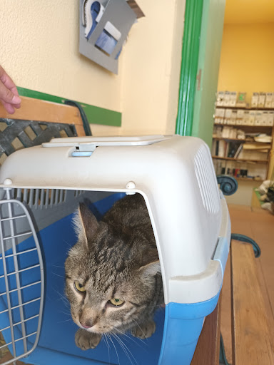 Don Centro Veterinario Canito en Madrid