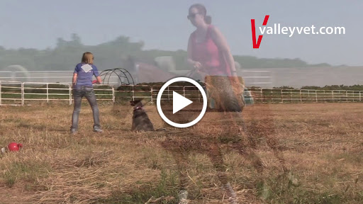 Pet Supply Store «Valley Vet Supply Retail Store», reviews and photos, 1118 Pony Express Hwy, Marysville, KS 66508, USA