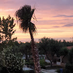 Photo n°9 de l'avis de Francesco.i fait le 23/06/2020 à 21:05 sur le  Hotel Residence Parco Del Sole | Gargano à Rodi Garganico