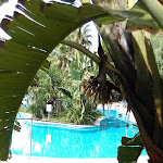 Photo n°5 de l'avis de Sylvie.o fait le 03/10/2018 à 06:23 sur le  Grand Palladium Sicilia Resort & Spa à Campofelice di Roccella