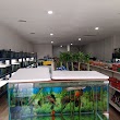 Tropical Fish Stop