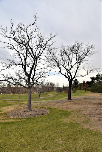 Park «Vanderbilt Park», reviews and photos, 855 S Platte River Dr, Denver, CO 80223, USA