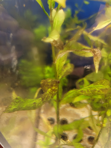 Pet Supply Store «Pet Supplies Plus», reviews and photos, 3644 Long Beach Rd, Oceanside, NY 11572, USA