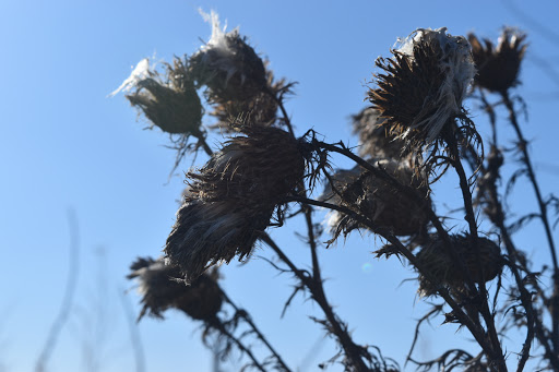 Convention Information Bureau «Alton Regional Convention & Visitors Bureau», reviews and photos, 200 Piasa St, Alton, IL 62002, USA