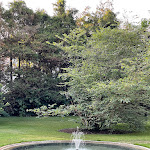 Photo n°5 de l'avis de Lilita.a fait le 26/06/2023 à 08:44 sur le  Hotel Pension Villa Wittstock à Burg bei Magdeburg