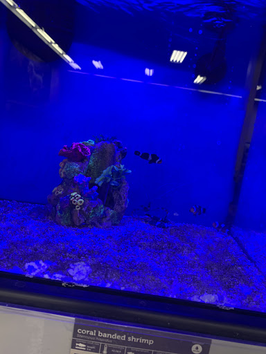 Pet Supply Store «Petco Animal Supplies», reviews and photos, 6805 Mills Civic Pkwy #140, West Des Moines, IA 50266, USA