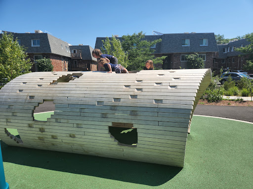 Park «Danehy Park», reviews and photos, 99 Sherman St, Cambridge, MA 02138, USA