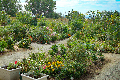 West Utica Community Garden image 3