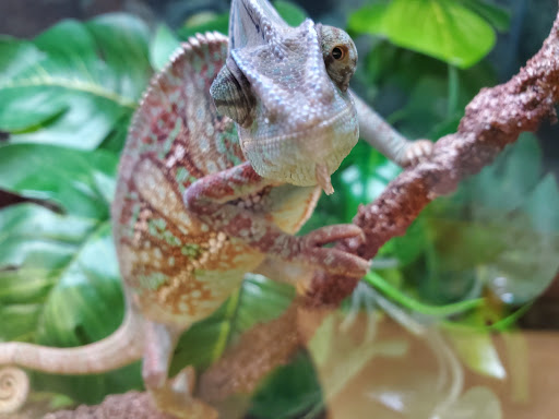 Pet Supply Store «Petco Animal Supplies», reviews and photos, 200 Center Blvd S, Christiana, DE 19702, USA