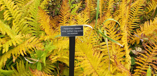 Nature Preserve «Eshqua Bog Natural Area», reviews and photos, Garvin Hill Rd, Woodstock, VT 05091, USA
