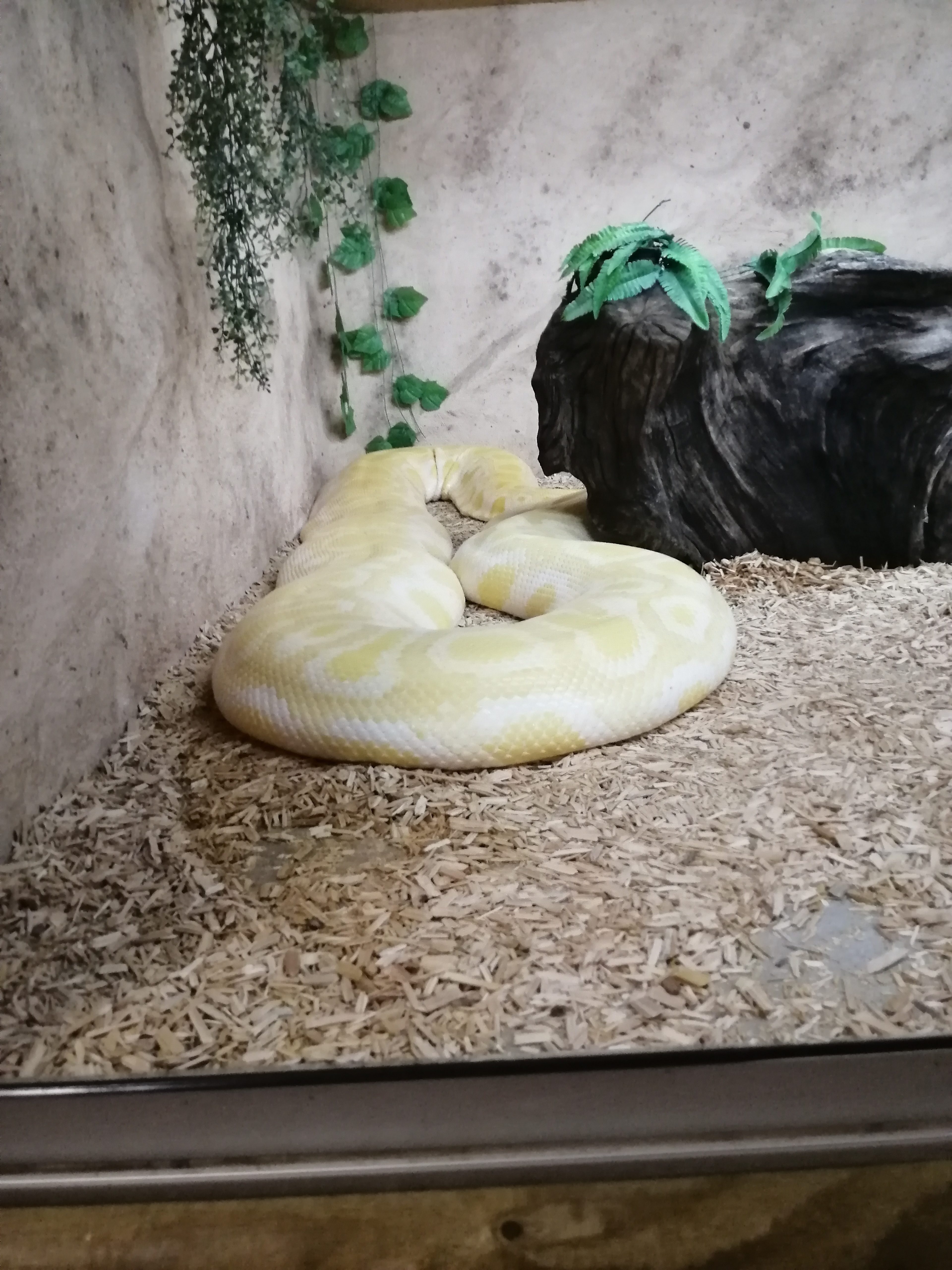 Photo n° 2 de l'avis de Mister.. fait le 16/07/2023 à 15:09