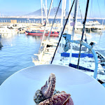 Photo n°2 de l'avis de Salvio.i fait le 24/01/2023 à 22:50 sur le  Ristorante - Club Nautico della Vela à Naples
