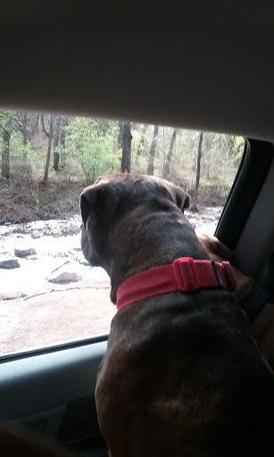 Tourist Attraction «Adventures Out West», reviews and photos, 1335 Manitou Ave, Manitou Springs, CO 80829, USA