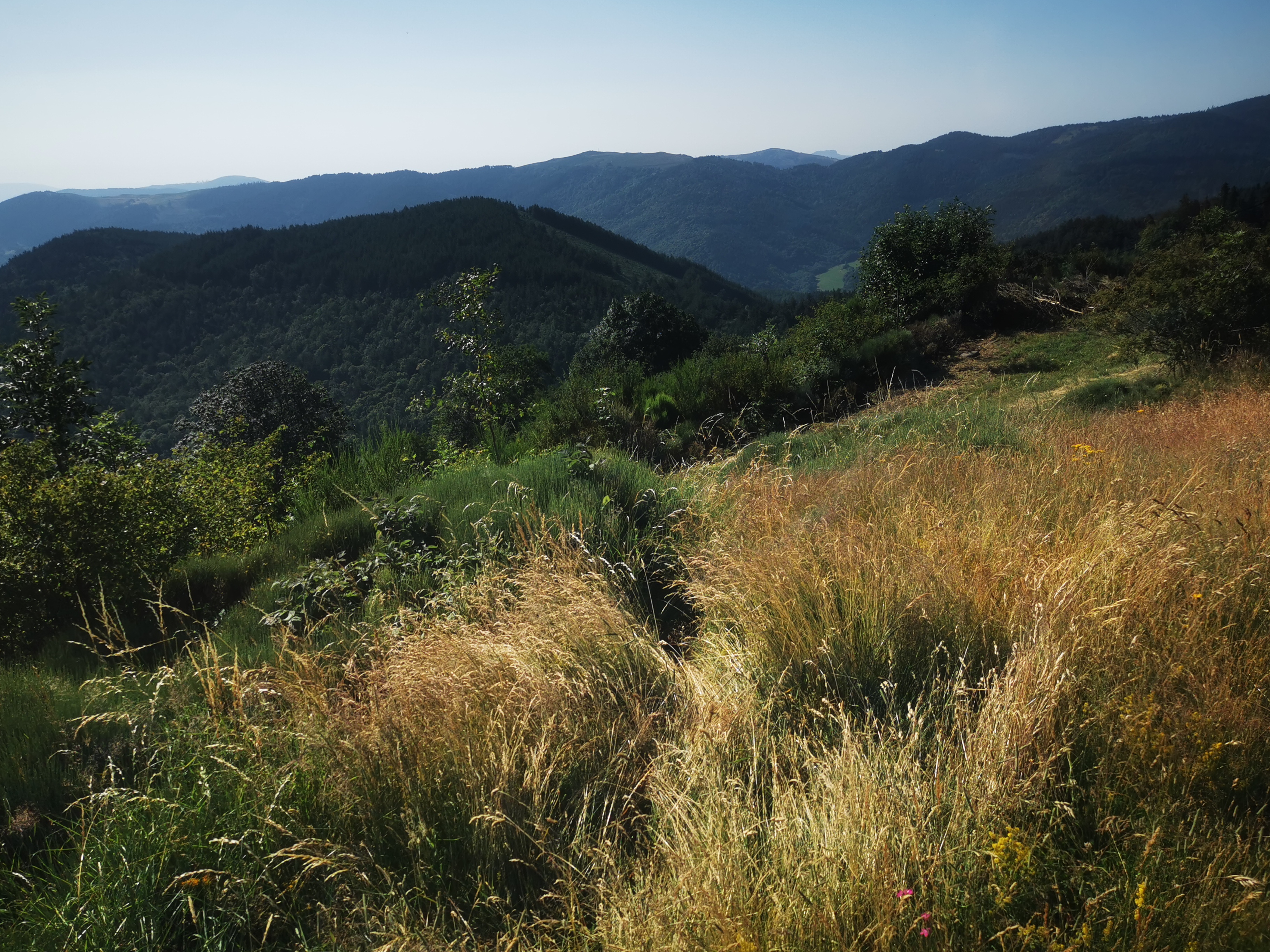 Photo n° 34 de l'avis de Seb. fait le 14/07/2023 à 04:55