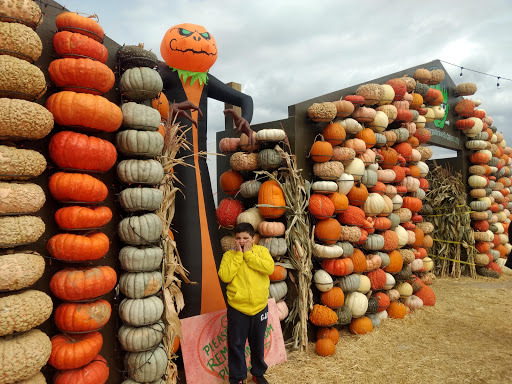 Produce Market «Kuwahara Farms», reviews and photos, 736 12300 S, Draper, UT 84020, USA