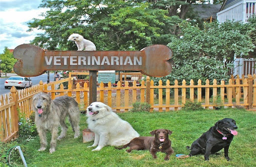Highlands Animal Clinic