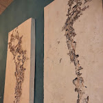 Photo n°8 de l'avis de franco.i fait le 24/12/2023 à 21:13 sur le  La Sardineria à Cesena