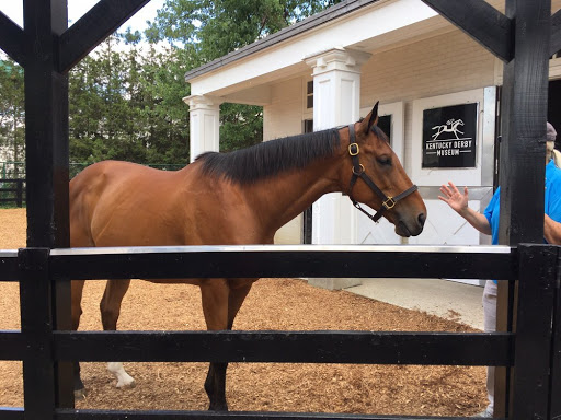 Museum «Kentucky Derby Museum», reviews and photos, 704 Central Ave, Louisville, KY 40208, USA