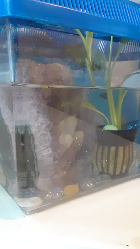 Pet Supply Store «Petco Animal Supplies», reviews and photos, 3637 2700 W, West Valley City, UT 84119, USA