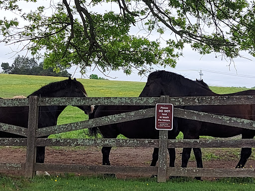 Tourist Attraction «The Underground Railroad Experience Trail», reviews and photos, 16501 Norwood Rd, Sandy Spring, MD 20860, USA