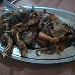 Photo n°1 de l'avis de Emanuele.i fait le 21/08/2020 à 08:33 sur le  Bar Ristorante 5 Sensi di Crescia Emiliano à Castelli