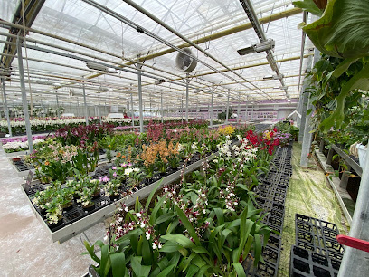 Orchideenfarm
