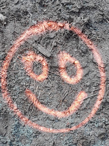 Nature Preserve «Steer Swamp Conservation Area», reviews and photos, 188 Washington St, Marblehead, MA 01945, USA