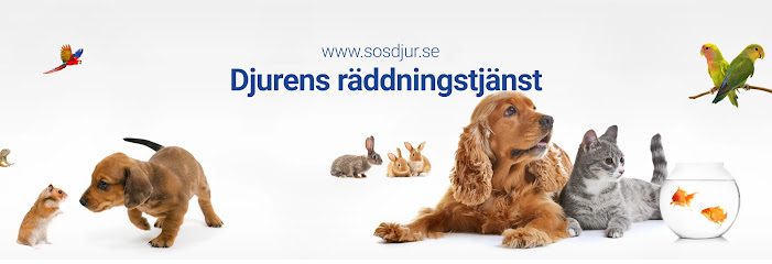SOS djur Sverige & Djurambulans