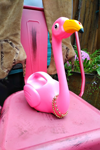 Shopping Mall «Georgetown Trailer Park Mall», reviews and photos, 5805 Airport Way S, Seattle, WA 98108, USA