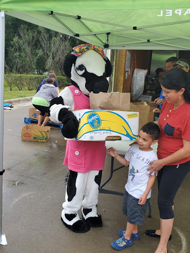 Auto Repair Shop «Christian Brothers Automotive New Tampa», reviews and photos, 20303 Trout Creek Dr, Tampa, FL 33647, USA