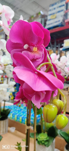 Home Improvement Store «The Home Depot», reviews and photos, 5858 Sawmill Rd, Dublin, OH 43017, USA