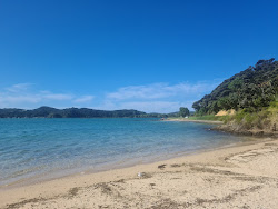 Wharau Road Beach'in fotoğrafı geniş bir kıyı şeridi ile birlikte