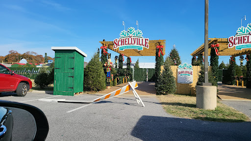 Outlet Mall «Tanger Outlet Rehoboth Beach», reviews and photos, 36470 Seaside Outlet Dr, Rehoboth Beach, DE 19971, USA