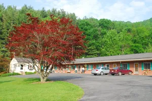The RoseLoe Motel image