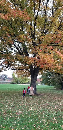 Park «Kawameeh Park», reviews and photos, 1750 Morris Ave, Union, NJ 07083, USA