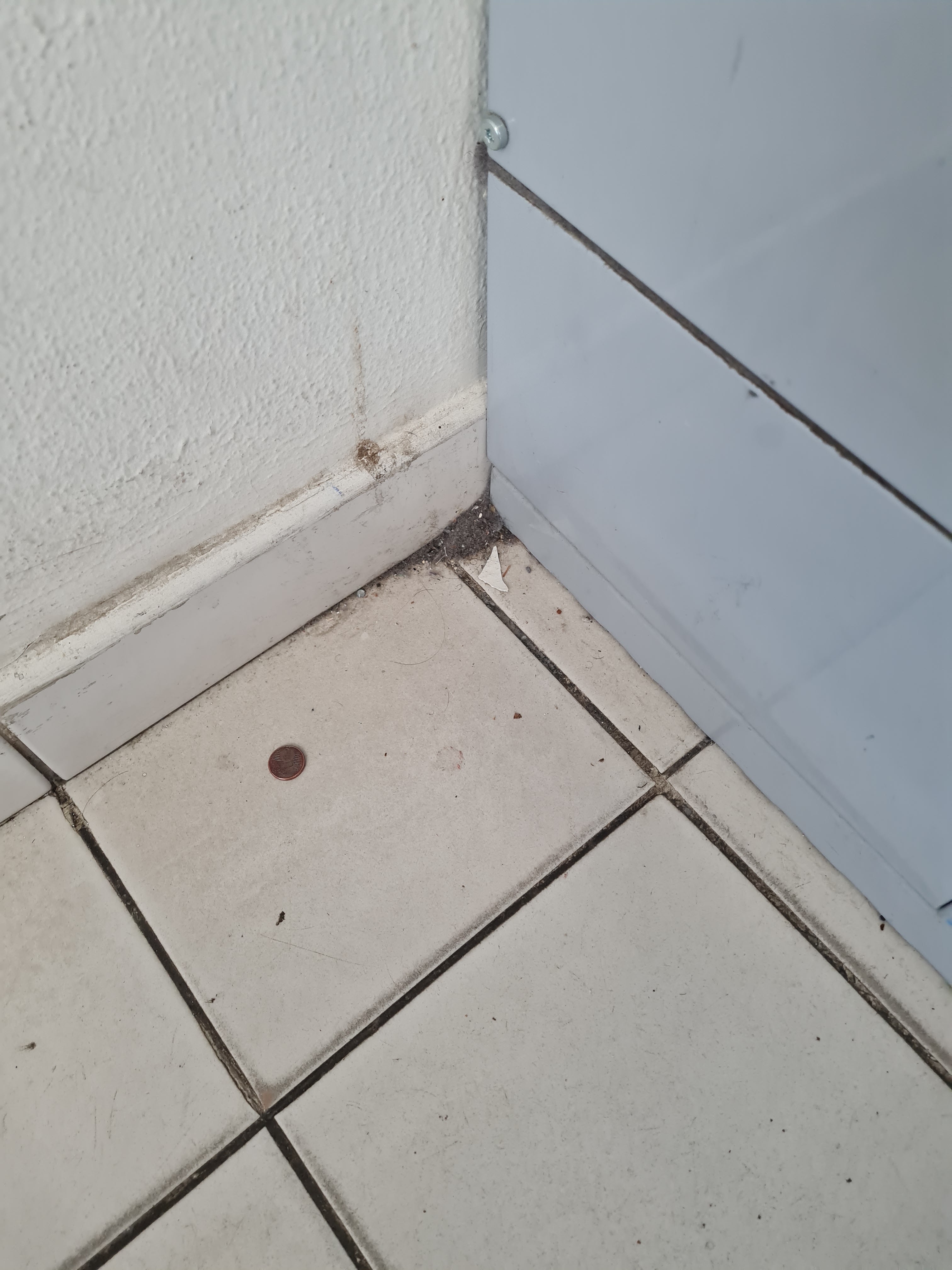 Photo n° 6 de l'avis de Dalila.b fait le 13/07/2022 à 23:04