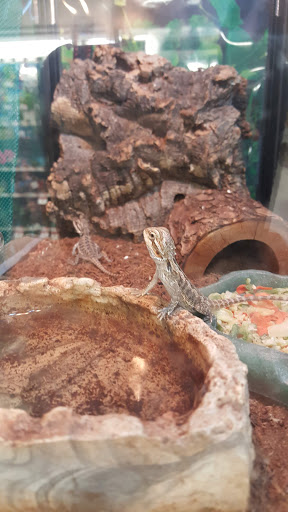 Pet Supply Store «Pet Supplies Plus», reviews and photos, 7467 St Andrews Rd, Irmo, SC 29063, USA