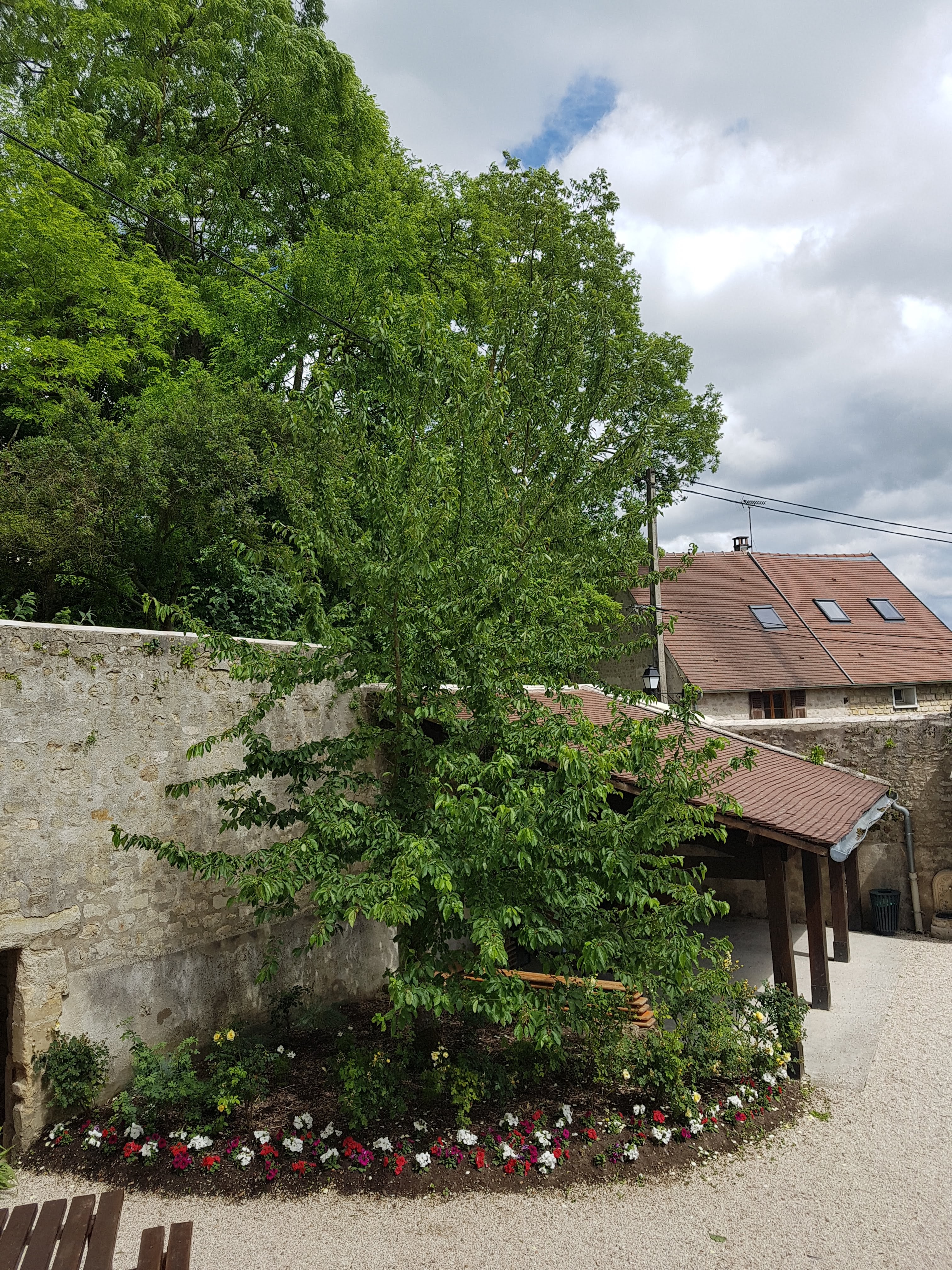 Photo n° 20 de l'avis de Isabelle.e fait le 10/06/2019 à 15:38