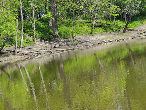 Learning Center «Trailside Museum of Natural History», reviews and photos, 738 Thatcher Ave, River Forest, IL 60305, USA
