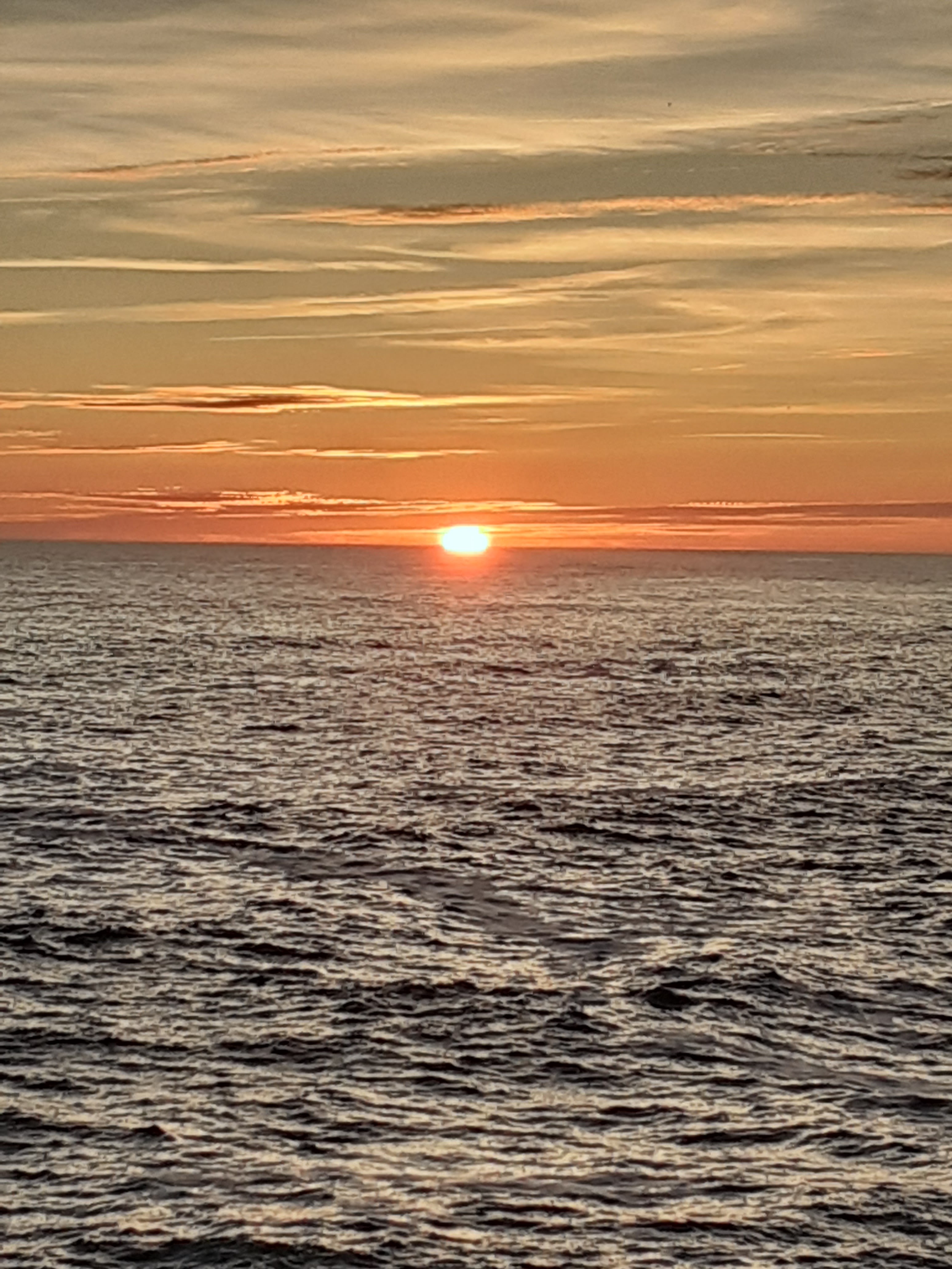 Photo n° 5 de l'avis de Philippe.e fait le 13/03/2024 à 22:17