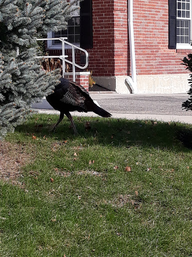 Park «Dorchester Park», reviews and photos, 2180 Dorchester Ave, Dorchester, MA 02124, USA