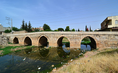Dunaysır Köprüsü (Taş Köprü)