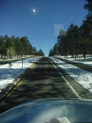 Pine Canyon - photo 58