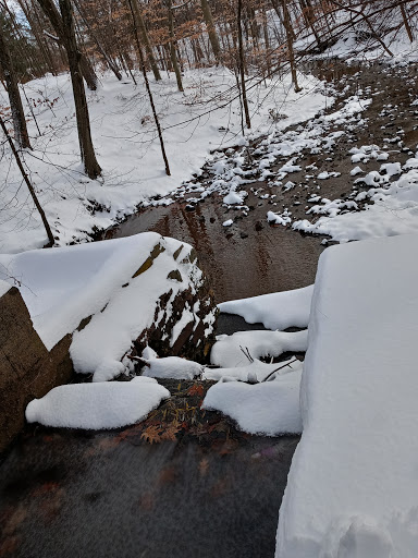 Park «Nichols Park», reviews and photos, 898 Bloomfield Ave, Nutley, NJ 07110, USA